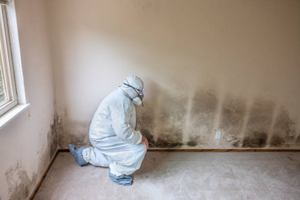 Forensic Mold Investigation in Camp Verde, AZ